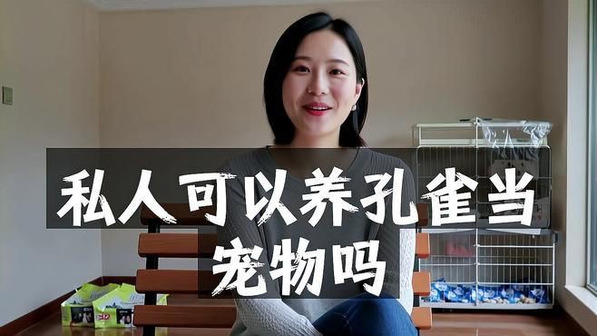 孔雀為啥不能隨便養(yǎng)【《孔雀為啥不能隨便養(yǎng)》】 孔雀為啥不能隨便養(yǎng)【《孔雀為啥不能隨便養(yǎng)》】 龍魚百科 第1張