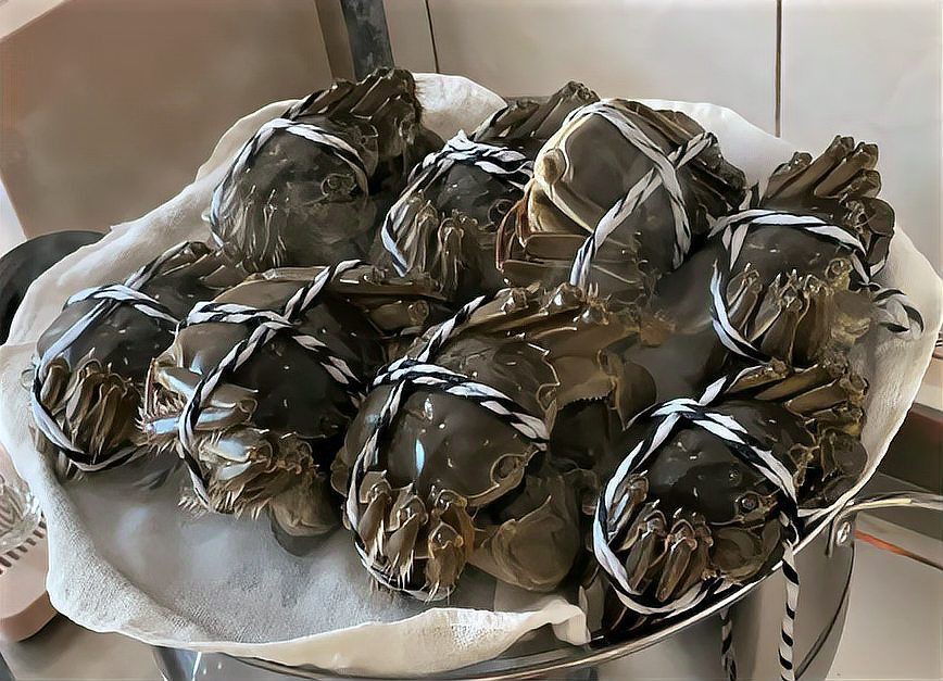 魚真菌病會傳染給人類嗎？【澎湃新聞,幼童摸魚面臨截肢風險,罪魁禍首竟是它】