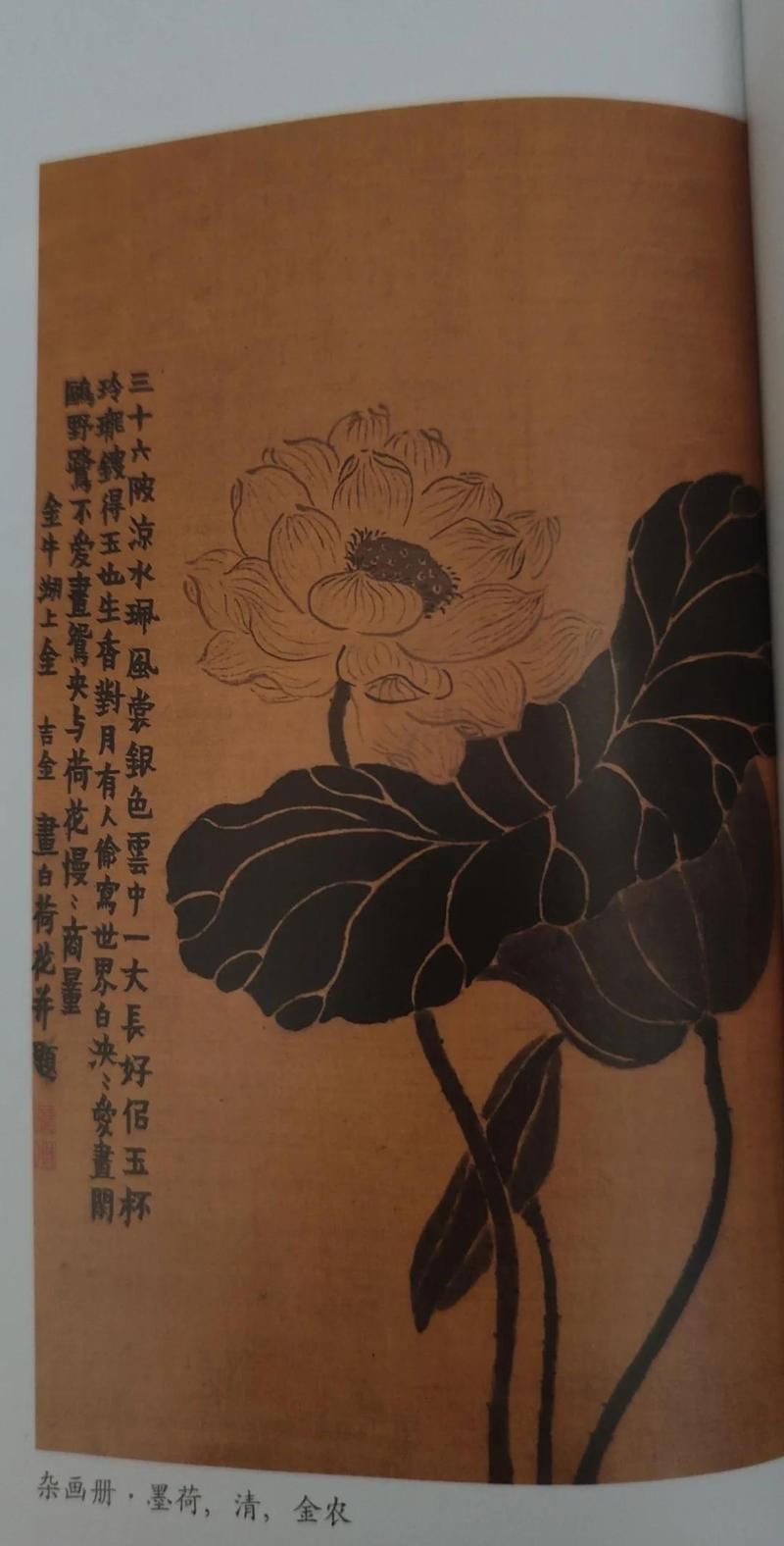 玄學中黑色的象征意義【玄學領域,黑色承載著獨特且深邃的象征意義】 龍魚百科 第8張 玄學中黑色的象征意義【玄學領域,黑色承載著獨特且深邃的象征意義】 玄學中黑色的象征意義【玄學領域,黑色承載著獨特且深邃的象征意義】 龍魚百科 第8張