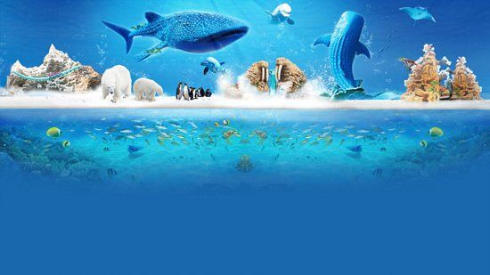 珠海水族館【珠海長隆海洋王國】