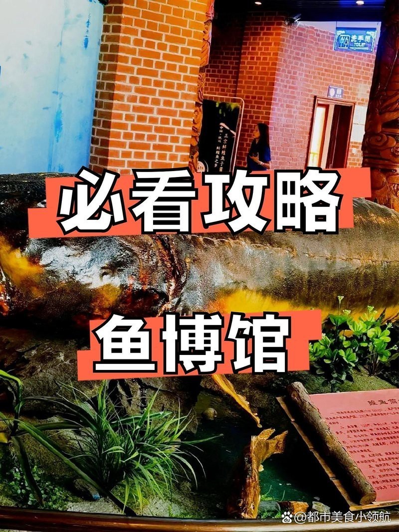 佳木斯龍魚店【佳木斯市向陽區(qū)大龍魚籽店】