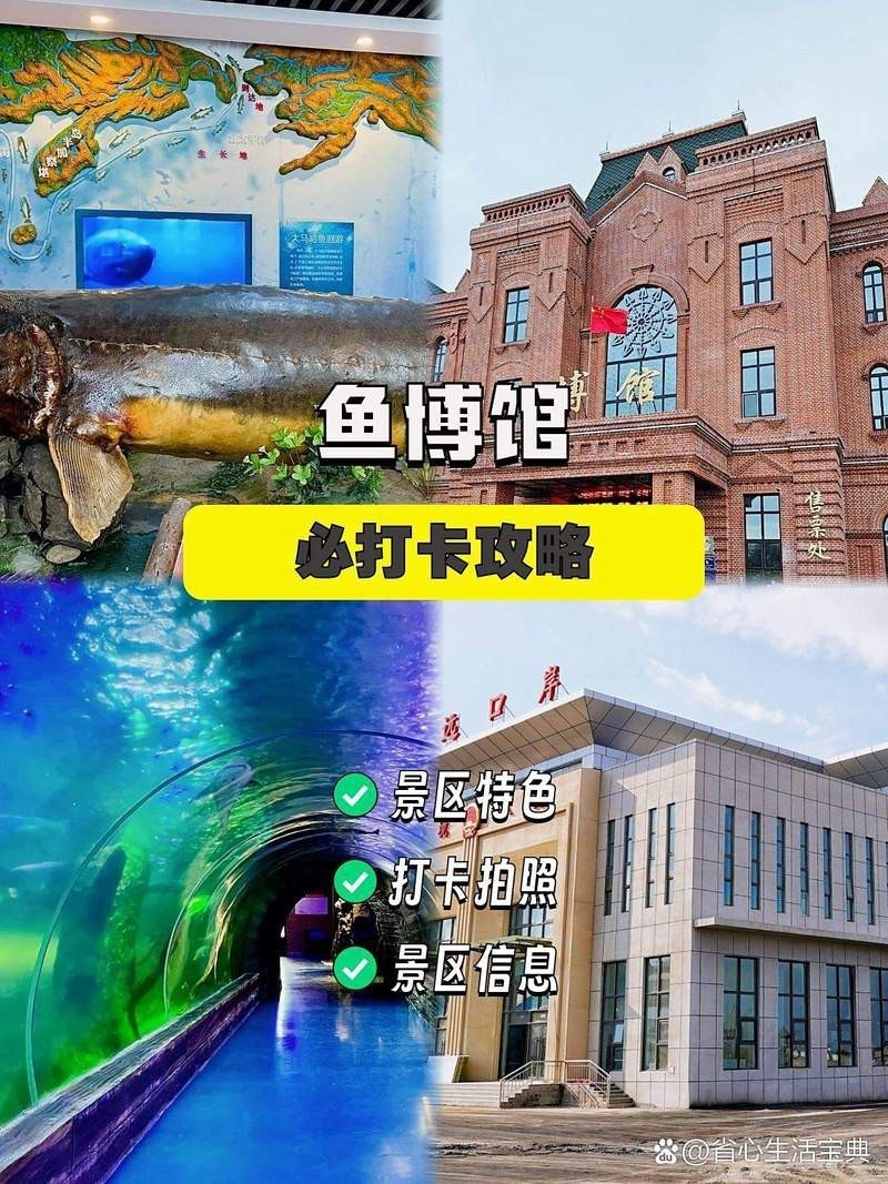 佳木斯龍魚店【佳木斯市向陽區(qū)大龍魚籽店】