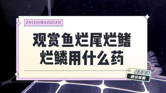 有哪些藥物可以有效治療魚爛鰭爛尾？【觀賞魚爛鰭爛鱗用什么藥】