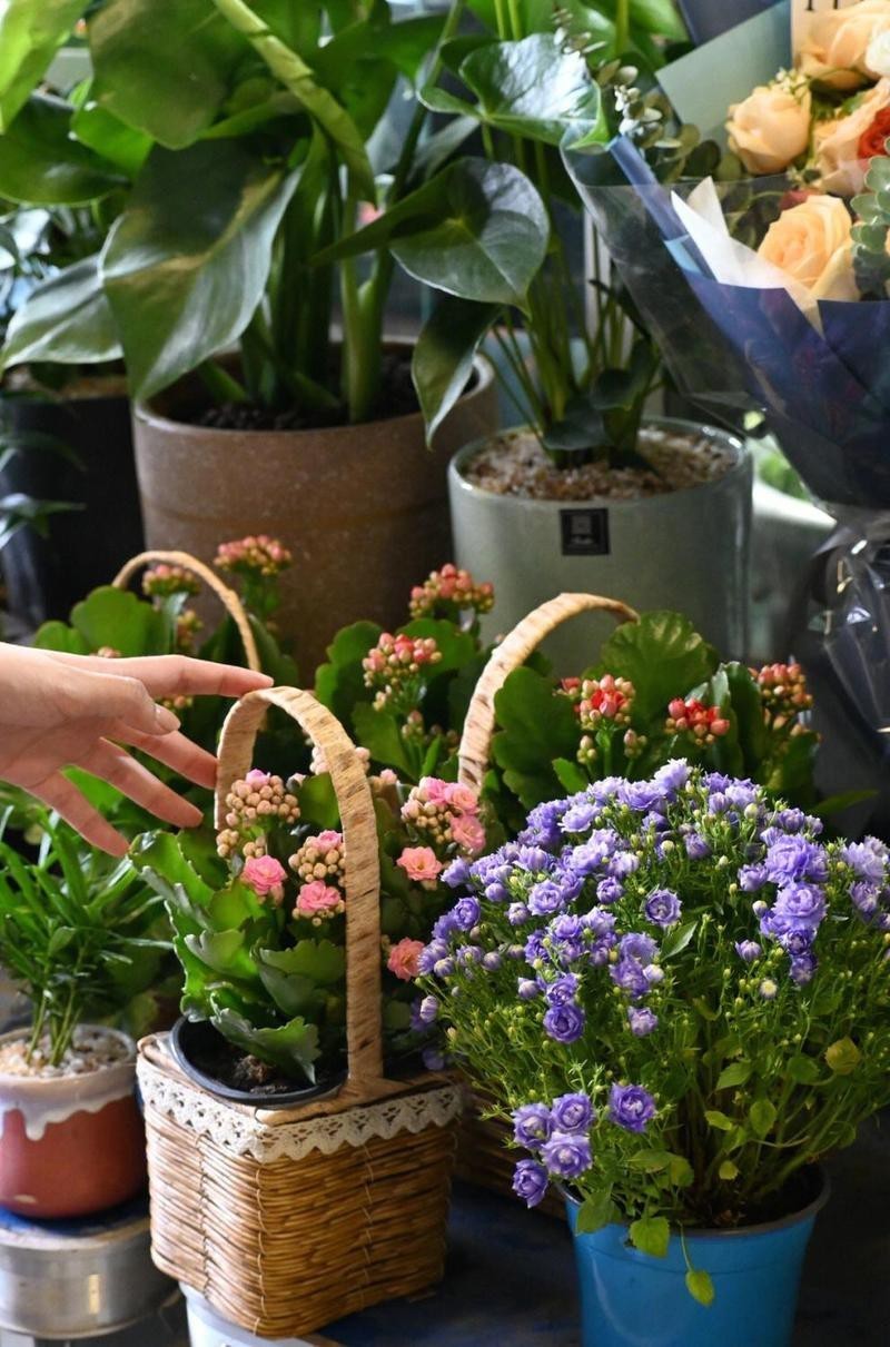 北侖水族店【北侖區(qū)哪家水族店口碑最好】 北侖水族店【北侖區(qū)哪家水族店口碑最好】 全國水族館企業(yè)名錄 第3張