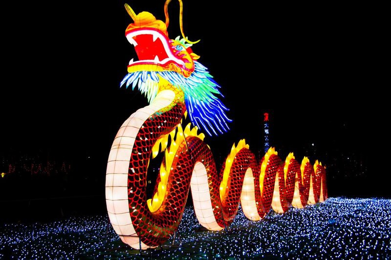 武定龍魚店【南京老門東龍燈亮起打卡武定龍魚店南京老門東龍燈亮起】 武定龍魚店【南京老門東龍燈亮起打卡武定龍魚店南京老門東龍燈亮起】 全國水族館企業名錄 第1張