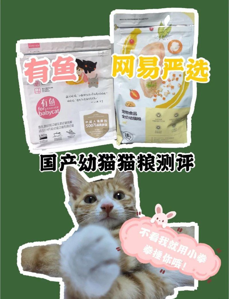 貓糧和魚哪個貴【《貓糧和魚哪個貴》在寵物飼養(yǎng)領(lǐng)域，常有人探討貓糧與魚的價(jià)格高低】 貓糧和魚哪個貴【《貓糧和魚哪個貴》在寵物飼養(yǎng)領(lǐng)域，常有人探討貓糧與魚的價(jià)格高低】 龍魚百科 第2張