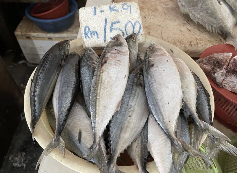 馬來西亞十大最便宜魚【來源12:馬來西亞十大系海魚大揭秘】