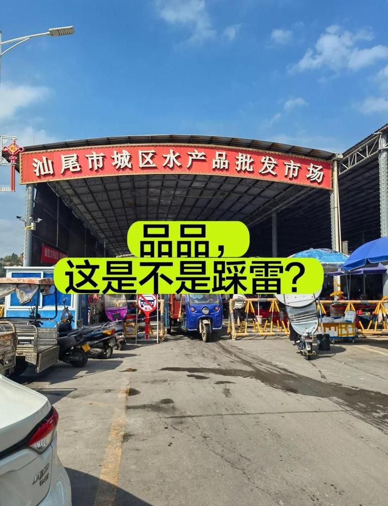 汕尾水族批發市場【探秘汕尾水產品批發市場】 汕尾水族批發市場【探秘汕尾水產品批發市場】 全國水族館企業名錄 第14張