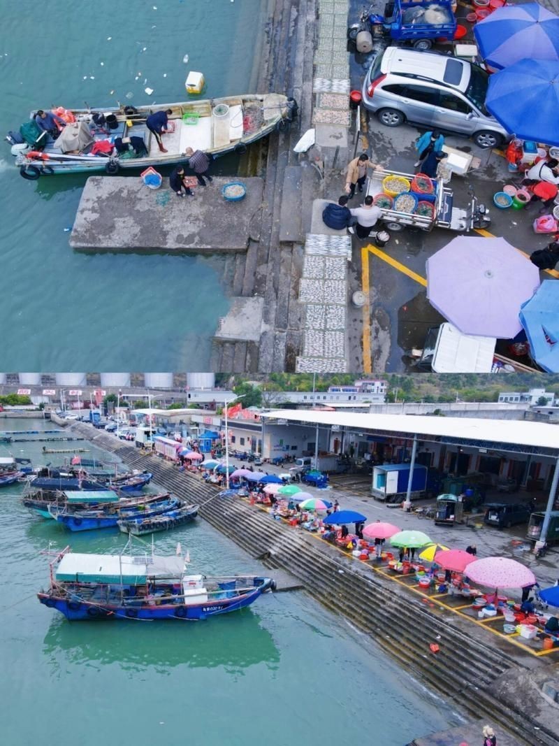 汕尾水族批發市場【探秘汕尾水產品批發市場】 汕尾水族批發市場【探秘汕尾水產品批發市場】 全國水族館企業名錄 第8張
