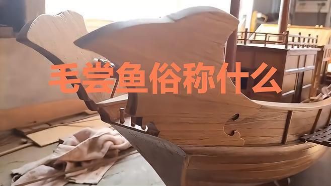 毛刀魚是什么魚【河鮮界的“小鮮肉”毛刀魚】