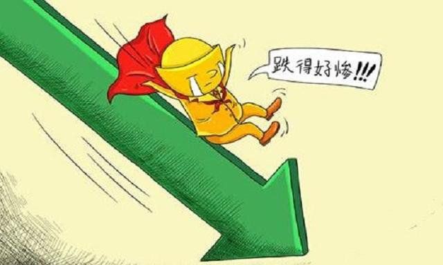 林園談金龍魚與伊利【林園投資者：金龍魚與伊利股份的投資邏輯】