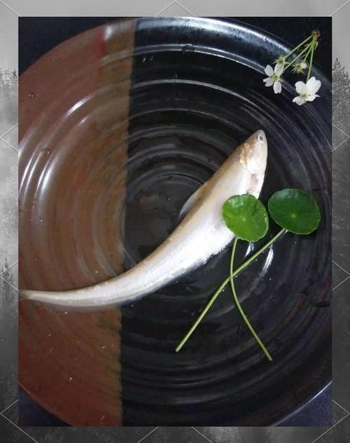 毛魚的樣子圖片【一漁民捕獲一條100斤1.6米長的大魚，賣30萬元還嫌少老潘說漁】
