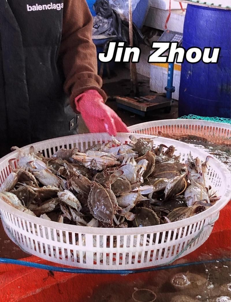 錦州水族批發市場【錦州水族批發市場是當地重要的水族產品集散地是當地重要的水族產品集散地】 錦州水族批發市場【錦州水族批發市場是當地重要的水族產品集散地是當地重要的水族產品集散地】 全國水族館企業名錄 第4張