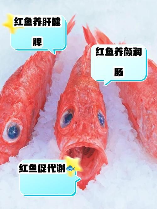 紅丁魚圖片【紅丁桂分類學特征、形態分布及經濟價值等方面展開】 紅丁魚圖片【紅丁桂分類學特征、形態分布及經濟價值等方面展開】 龍魚論壇 第9張