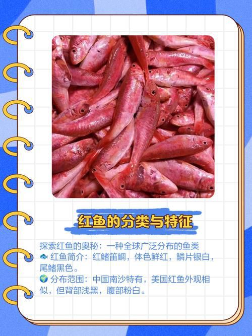 紅丁魚圖片【紅丁桂分類學特征、形態分布及經濟價值等方面展開】 紅丁魚圖片【紅丁桂分類學特征、形態分布及經濟價值等方面展開】 龍魚論壇 第21張