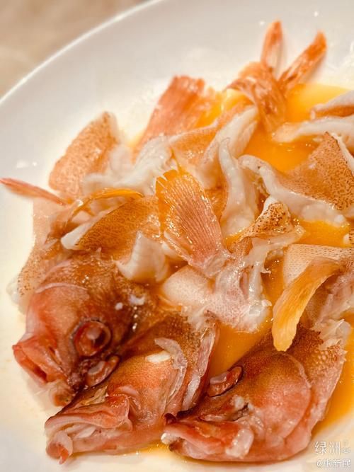 紅丁魚圖片【紅丁桂分類學特征、形態分布及經濟價值等方面展開】 紅丁魚圖片【紅丁桂分類學特征、形態分布及經濟價值等方面展開】 龍魚論壇 第22張