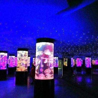 銅仁水族館【九豐極地海洋館】