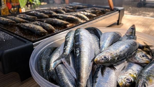 紅頭魚是海魚還是淡水魚【紅頭魚屬于海魚,并非淡水魚,其學名短鰭紅娘魚,】
