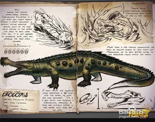 恐龍島鱷魚進化帝王【《恐龍島鱷魚進化帝王》方舟生存進化帝王鱷屬性介紹】