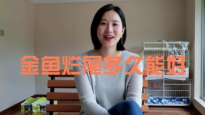 魚爛鰭爛尾病多久能治好？【魚患爛鰭爛尾病的治愈時間受多種因素影響，治愈時間受多種因素影響】