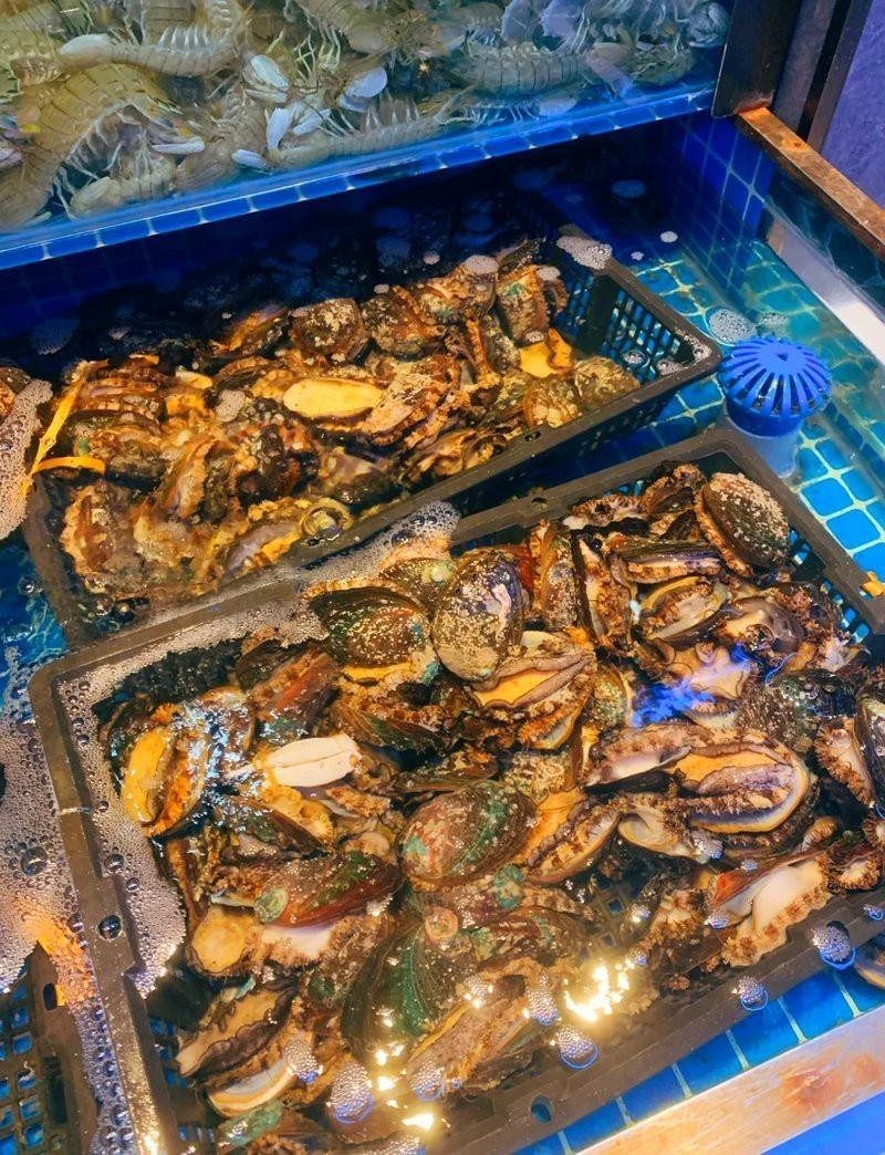 大寧龍魚店【大眾點(diǎn)評(píng)吃喝玩樂精選】