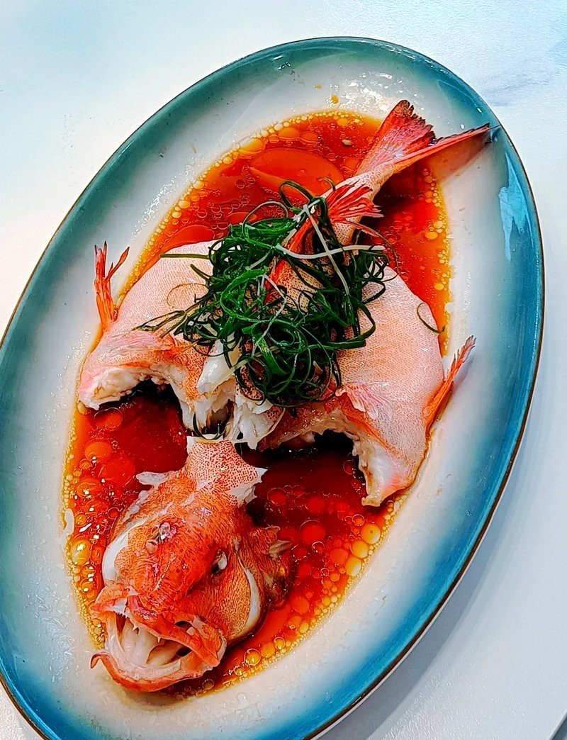 大寧龍魚店【大眾點(diǎn)評(píng)吃喝玩樂精選】