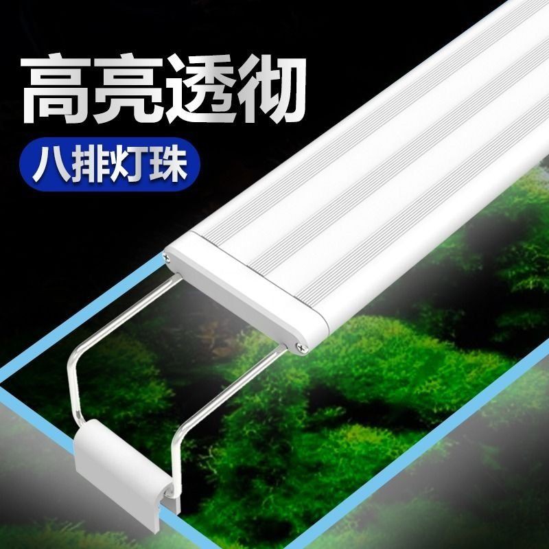 光特億魚缸照明燈【光特億魚缸照明燈系列涵蓋多種功能型產品滿足不同水族需求】 光特億魚缸照明燈【光特億魚缸照明燈系列涵蓋多種功能型產品滿足不同水族需求】 全國水族館企業名錄 第5張