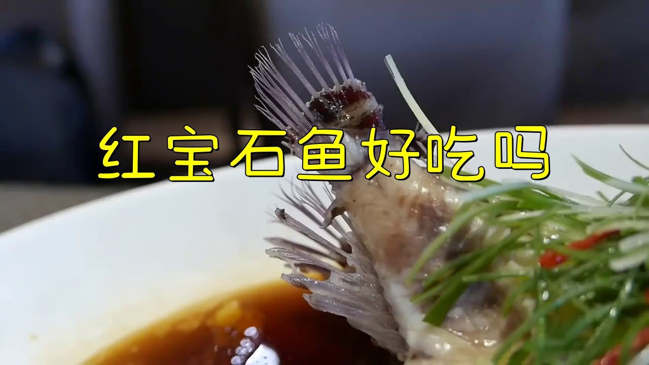 紅寶石魚為何要盡量少吃【紅寶石魚為何盡量少吃,海風輕撫】