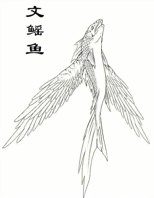 仿生鰩魚【上海海洋大學仿生魚\