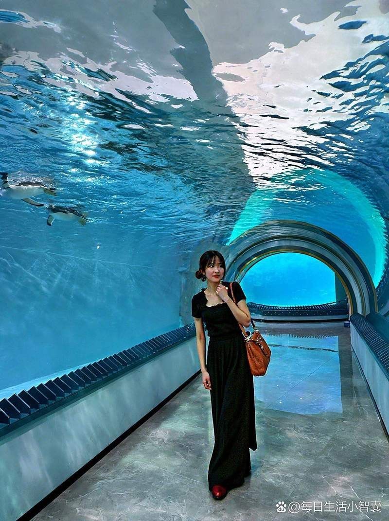 哈爾濱水族店【哈爾濱市區有哪些受歡迎的水族店】