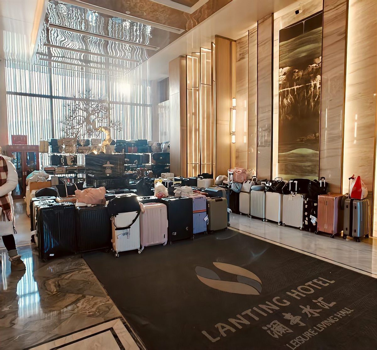 哈爾濱水族店【哈爾濱市區有哪些受歡迎的水族店】