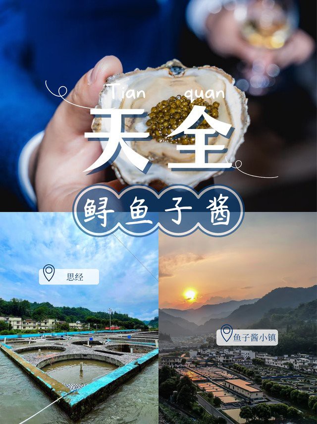 八宿龍魚店【八宿地區(qū)有哪些特色美食】