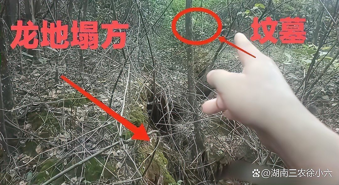 什么人能承受龍脈【《什么人能承受龍脈》聚焦于神秘且極具力量的“龍脈”概念】
