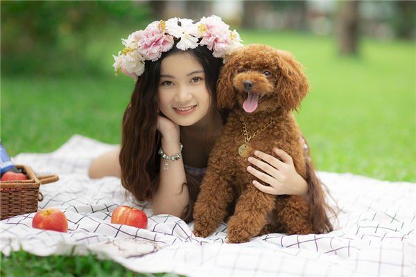 招財牛需要開光嗎？【招財牛擺件是否需要開光取決于其材質和用途】 招財牛需要開光嗎？【招財牛擺件是否需要開光取決于其材質和用途】 龍魚百科 第2張