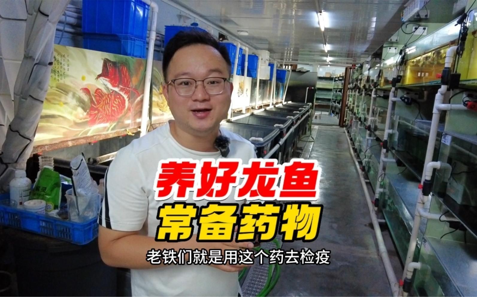 有哪些龍魚專用藥可以推薦？【關于龍魚專用藥的推薦及使用注意事項】