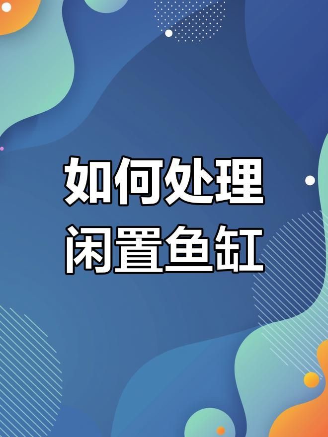 舊魚缸不想要了怎么處理【嗶哩嗶哩舊魚缸改造攻略】