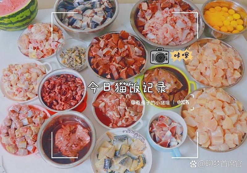 貓可以吃什么魚比較好【貓可以吃什么魚比較好[emoji]2728[/emoji]】