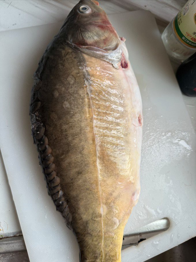 三道鱗為啥比鯉魚貴【三道鱗:揭秘這種獨特的魚類的身份與特性】 三道鱗為啥比鯉魚貴【三道鱗:揭秘這種獨特的魚類的身份與特性】 龍魚論壇 第2張