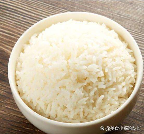五常龍魚店【五常龍魚店哪家口碑最好】