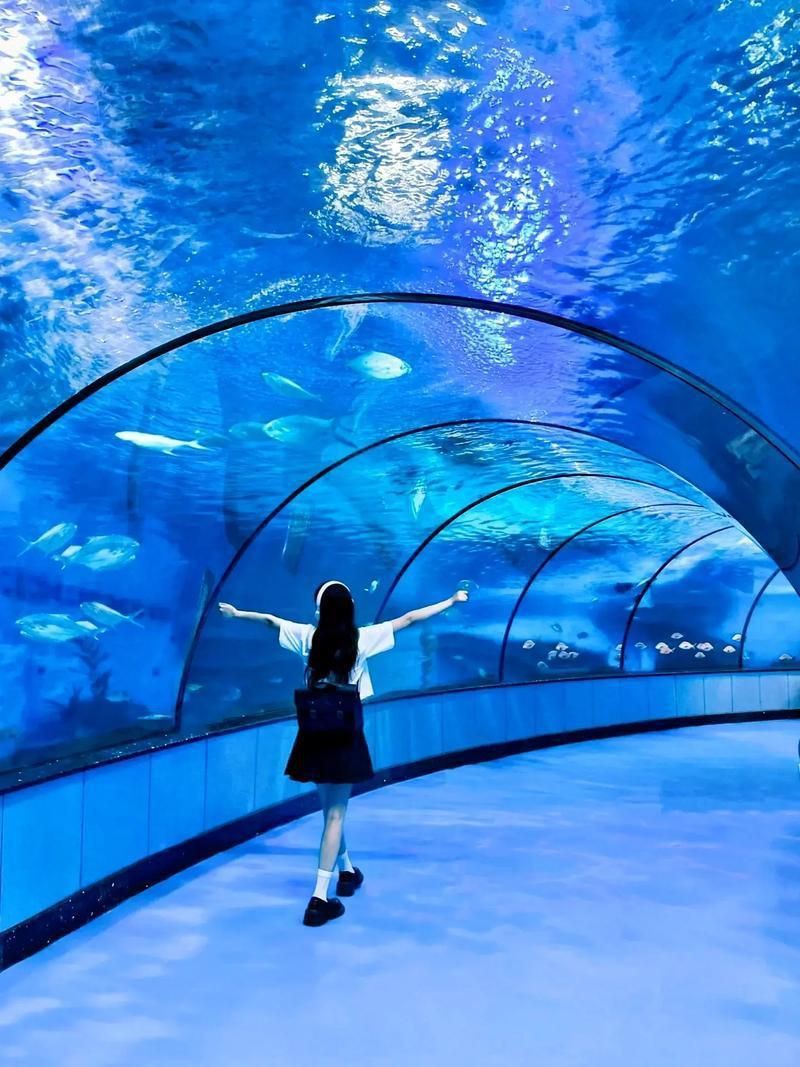 金華水族館，婺州金華水族館探秘海洋生態(tài)保護海洋生物學教授低聲嘆息