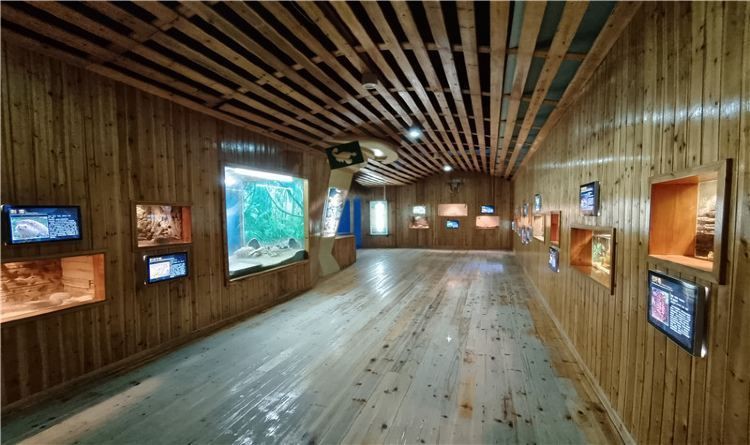 金華水族館，婺州金華水族館探秘海洋生態(tài)保護(hù)海洋生物學(xué)教授低聲嘆息