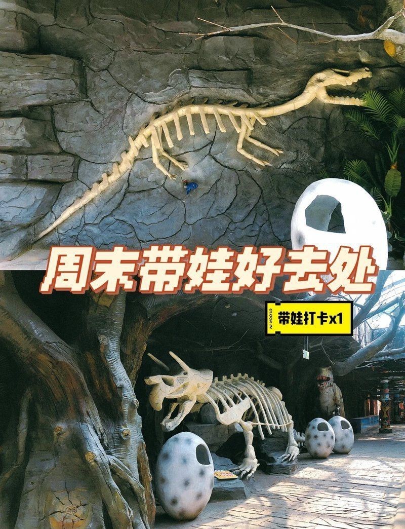 金華水族館，婺州金華水族館探秘海洋生態(tài)保護(hù)海洋生物學(xué)教授低聲嘆息