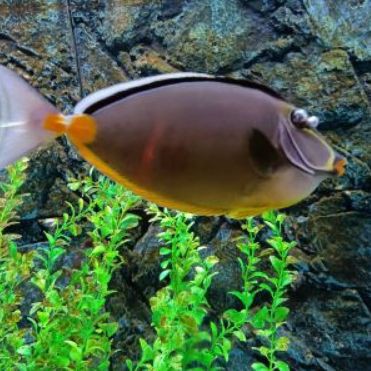 金華水族館，婺州金華水族館探秘海洋生態(tài)保護海洋生物學教授低聲嘆息