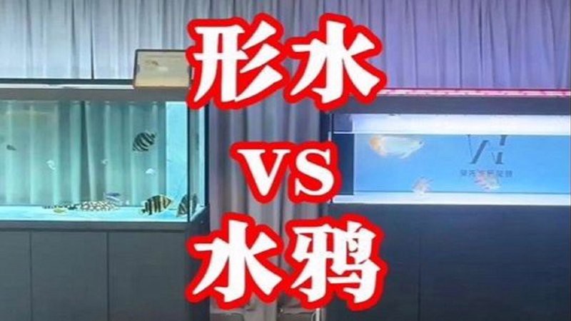 水鴉魚缸是雜牌還是名牌【水鴉魚缸vs水鴉魚缸，水鴉魚缸代理品牌\