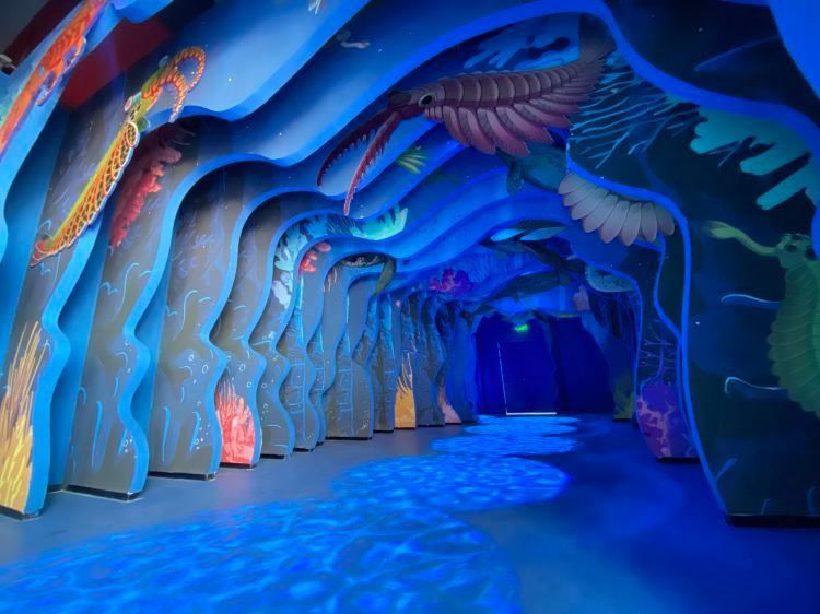 玉溪水族館【云南玉溪水族館探秘玉溪水族館：一場穿越99學術網】