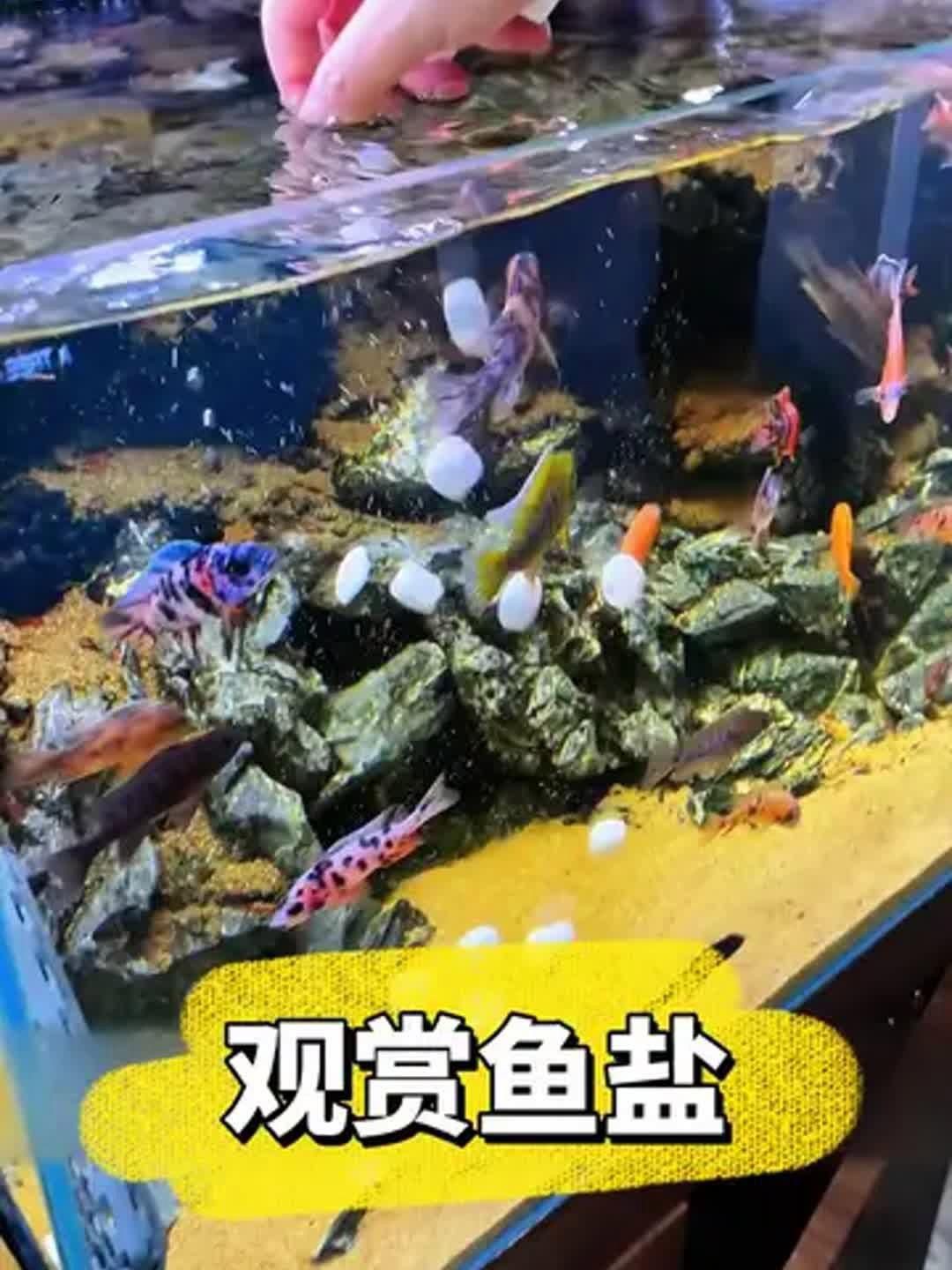 馬印水族魚鹽觀賞魚專用【養魚必備:觀賞魚專用鹽】