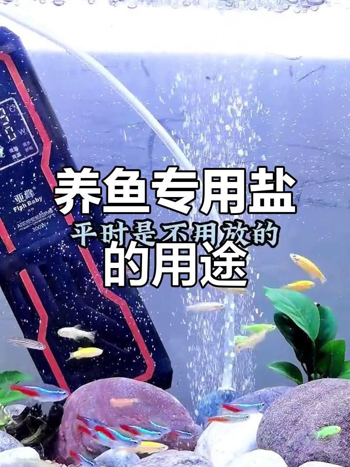 馬印水族魚鹽觀賞魚專用【養魚必備:觀賞魚專用鹽】