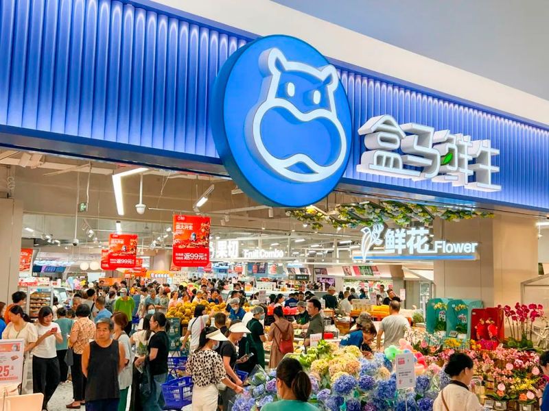 南沙島水族店【南沙島水族店哪家口碑最好】