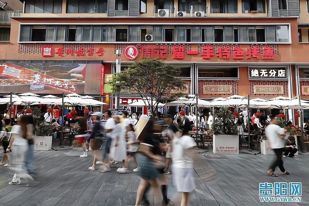 正安龍魚店【正安娃娃魚，正安龍魚店】 正安龍魚店【正安娃娃魚，正安龍魚店】 全國水族館企業名錄 第3張