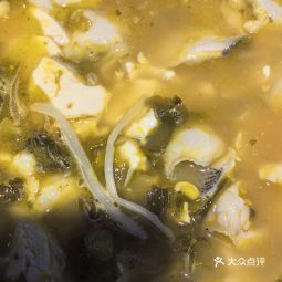 晉州龍魚店【喵鯊豆花魚火鍋探店記】 晉州龍魚店【喵鯊豆花魚火鍋探店記】 全國水族館企業名錄 第1張